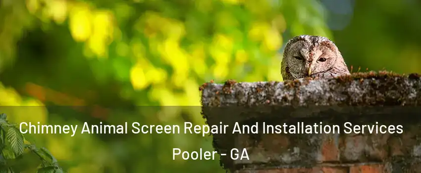  Chimney Animal Screen Repair And Installation Services Pooler - GA
