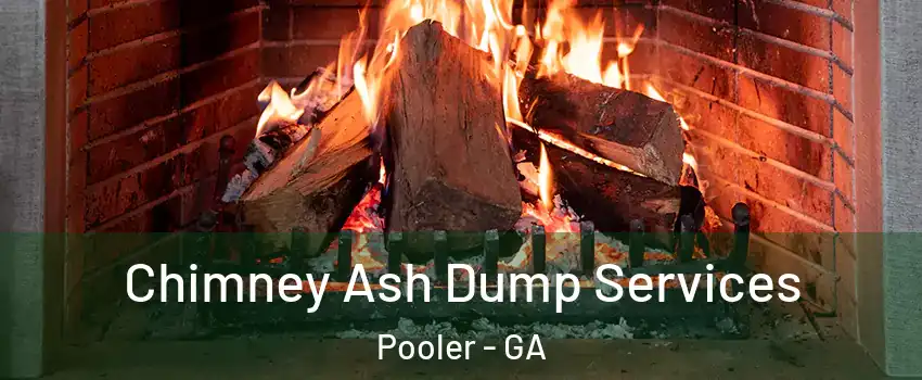  Chimney Ash Dump Services Pooler - GA