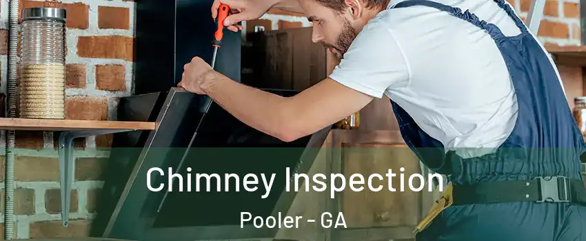  Chimney Inspection Pooler - GA