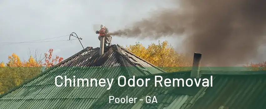  Chimney Odor Removal Pooler - GA