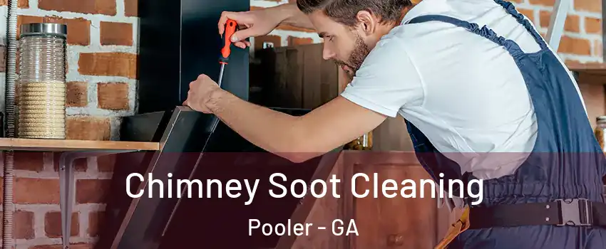  Chimney Soot Cleaning Pooler - GA