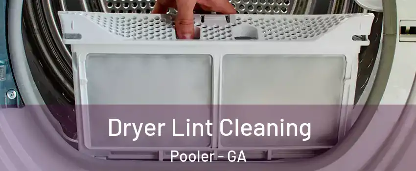  Dryer Lint Cleaning Pooler - GA