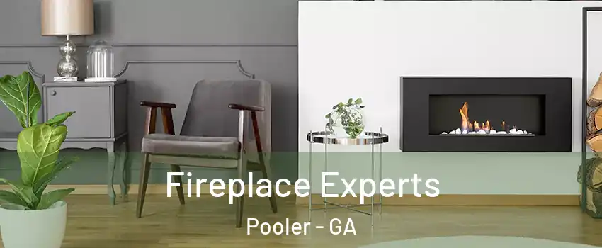  Fireplace Experts Pooler - GA