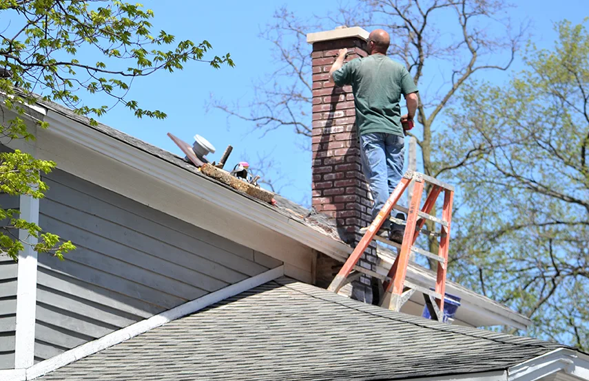 Chimney & Fireplace Inspections Services in Pooler, GA