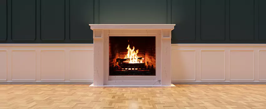 Napoleon Electric Fireplaces Inspection Service in Pooler, Georgia