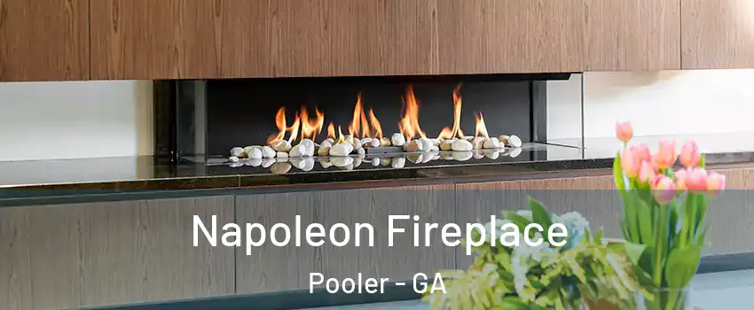  Napoleon Fireplace Pooler - GA