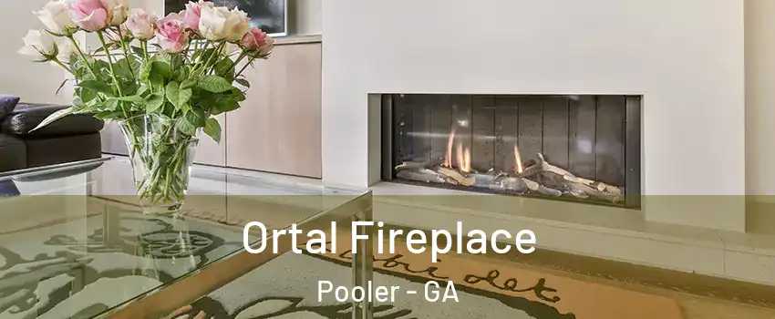  Ortal Fireplace Pooler - GA